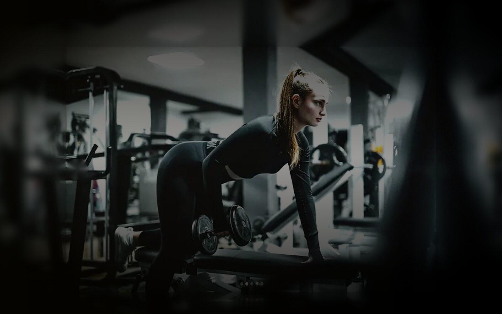 AlphaFitness